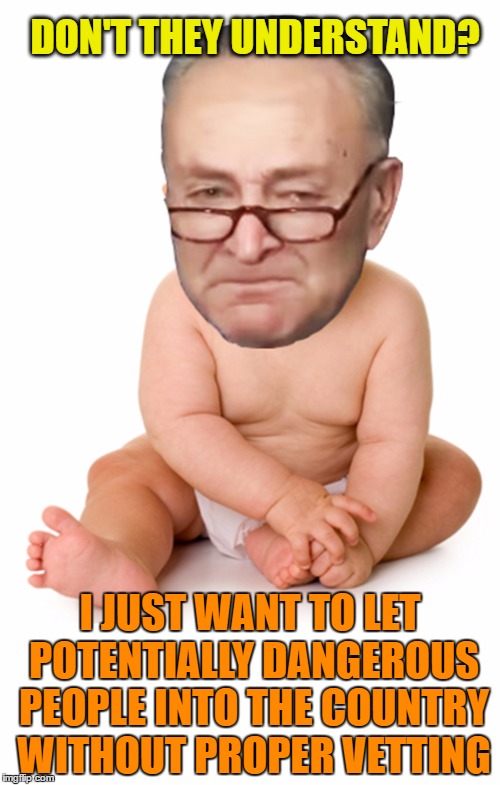 Chuck Schumer baby | DON'T THEY UNDERSTAND? I JUST WANT TO LET POTENTIALLY DANGEROUS PEOPLE INTO THE COUNTRY WITHOUT PROPER VETTING | image tagged in chuck schumer baby | made w/ Imgflip meme maker