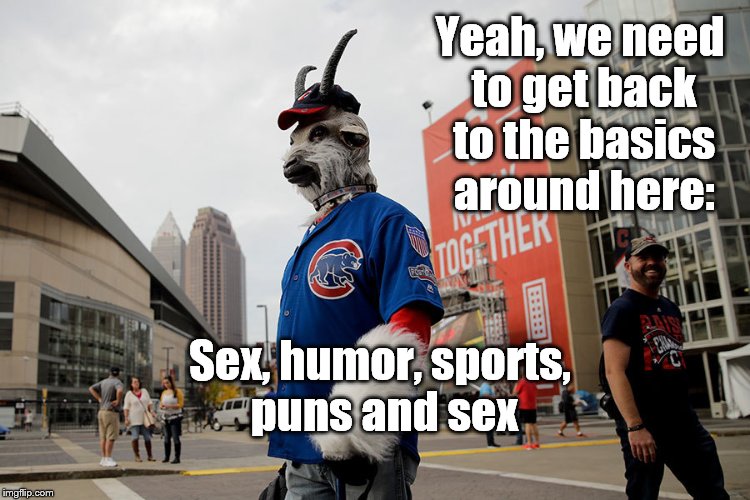 Cubs | Yeah, we need to get back to the basics around here: Sex, humor, sports, puns and sex | image tagged in cubs | made w/ Imgflip meme maker