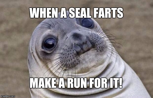 Awkward Moment Sealion Meme | WHEN A SEAL FARTS; MAKE A RUN FOR IT! | image tagged in memes,awkward moment sealion | made w/ Imgflip meme maker