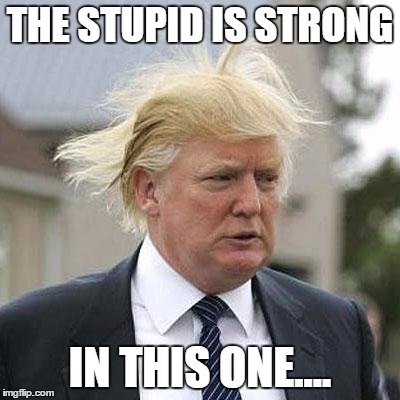 Donald Trump | THE STUPID IS STRONG; IN THIS ONE.... | image tagged in donald trump | made w/ Imgflip meme maker