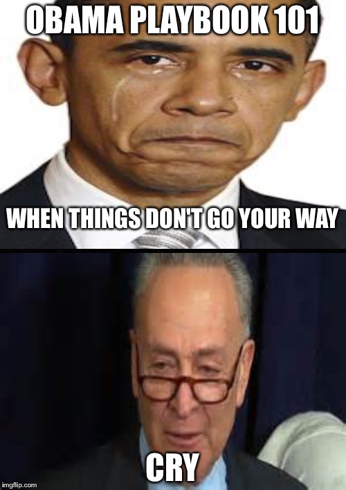 Wah wah wah | OBAMA PLAYBOOK 101; WHEN THINGS DON'T GO YOUR WAY; CRY | image tagged in obama | made w/ Imgflip meme maker