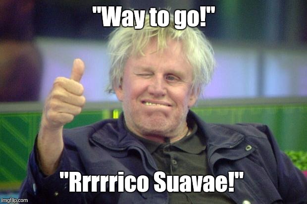 Idbv4.jpg | "Way to go!" "Rrrrrico Suavae!" | image tagged in idbv4jpg | made w/ Imgflip meme maker