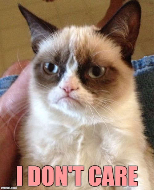 Grumpy Cat Meme | I DON'T CARE | image tagged in memes,grumpy cat | made w/ Imgflip meme maker