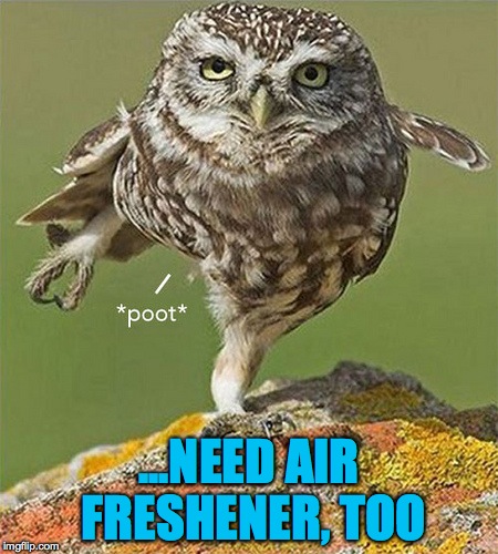 ...NEED AIR FRESHENER, TOO | made w/ Imgflip meme maker