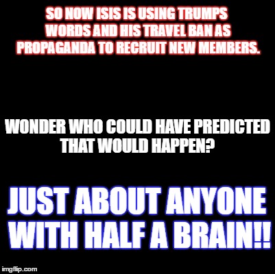 Blank | SO NOW ISIS IS USING TRUMPS WORDS AND HIS TRAVEL BAN AS PROPAGANDA TO RECRUIT NEW MEMBERS. WONDER WHO COULD HAVE PREDICTED THAT WOULD HAPPEN? JUST ABOUT ANYONE WITH HALF A BRAIN!! | image tagged in blank | made w/ Imgflip meme maker