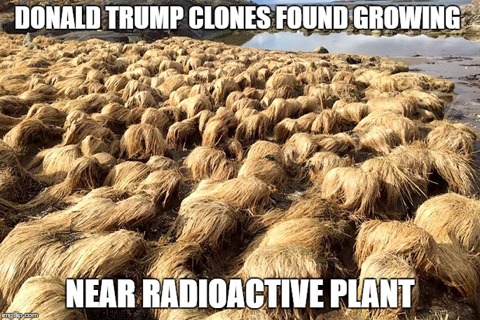 Donald trump beach | DONALD TRUMP CLONES FOUND GROWING; NEAR RADIOACTIVE PLANT | image tagged in donald trump,hair,president | made w/ Imgflip meme maker