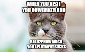 sad apartment cat | WHEN YOU VISIT YOU COWORKER AND; REALIZE HOW MUCH YOU APARTMENT SUCKS | image tagged in sad,cat,apartment | made w/ Imgflip meme maker