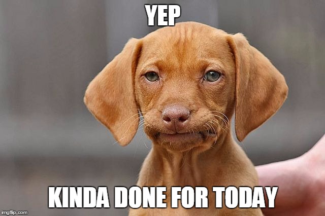 Kinda Done Dog | YEP KINDA DONE FOR TODAY | image tagged in kinda done dog | made w/ Imgflip meme maker