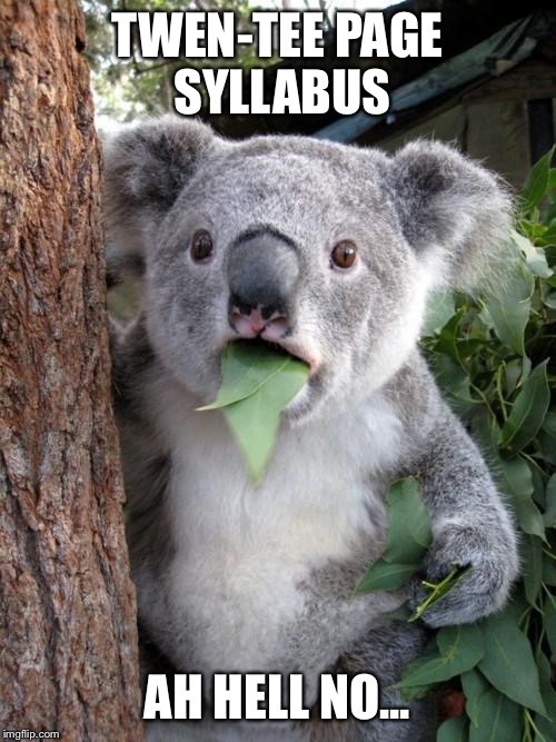 Surprised Koala | TWEN-TEE PAGE SYLLABUS; AH HELL NO... | image tagged in memes,surprised koala | made w/ Imgflip meme maker