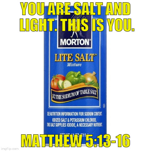 Don't lose your saltiness, never turn off your light. | YOU ARE SALT AND LIGHT. THIS IS YOU. MATTHEW 5:13-16 | image tagged in funny | made w/ Imgflip meme maker