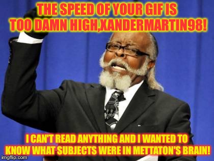 When a gif has too munch speed | THE SPEED OF YOUR GIF IS TOO DAMN HIGH,XANDERMARTIN98! I CAN'T READ ANYTHING AND I WANTED TO KNOW WHAT SUBJECTS WERE IN METTATON'S BRAIN! | image tagged in memes,too damn high | made w/ Imgflip meme maker