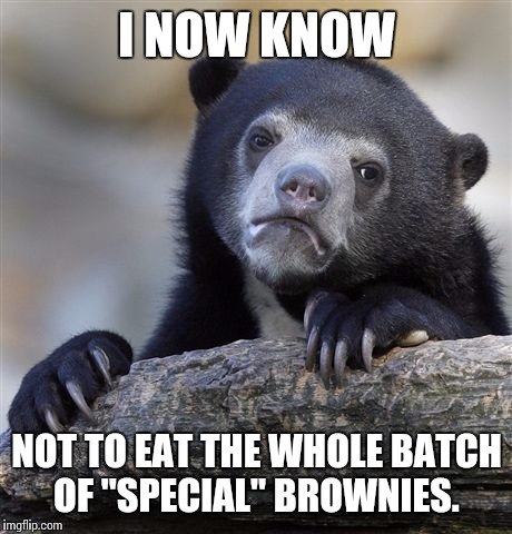 Confession Bear | I NOW KNOW; NOT TO EAT THE WHOLE BATCH OF "SPECIAL" BROWNIES. | image tagged in memes,confession bear | made w/ Imgflip meme maker