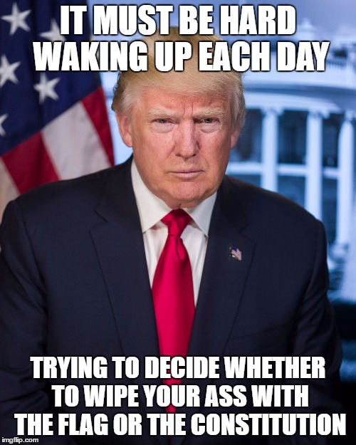 It's hard being the president |  IT MUST BE HARD WAKING UP EACH DAY; TRYING TO DECIDE WHETHER TO WIPE YOUR ASS WITH THE FLAG OR THE CONSTITUTION | image tagged in drumpf,toilet paper,constitution,president,memes | made w/ Imgflip meme maker