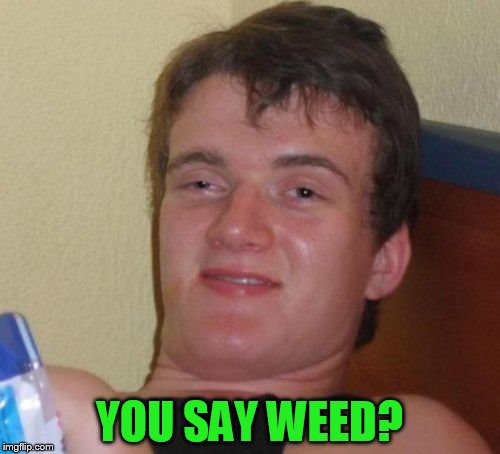 10 Guy Meme | YOU SAY WEED? | image tagged in memes,10 guy | made w/ Imgflip meme maker