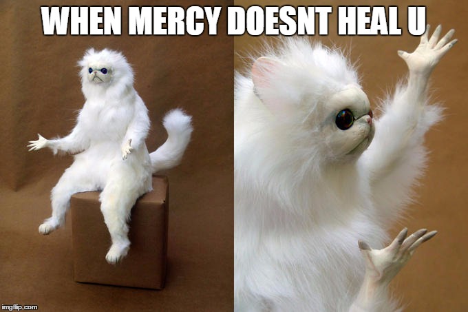 Persian Cat Room Guardian Meme | WHEN MERCY DOESNT HEAL U | image tagged in memes,persian cat room guardian | made w/ Imgflip meme maker