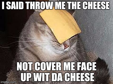 Cats with cheese | I SAID THROW ME THE CHEESE; NOT COVER ME FACE UP WIT DA CHEESE | image tagged in cats with cheese | made w/ Imgflip meme maker