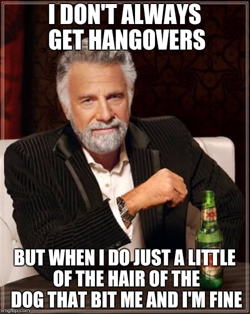 The Most Interesting Man In The World Meme | I DON'T ALWAYS GET HANGOVERS BUT WHEN I DO JUST A LITTLE OF THE HAIR OF THE DOG THAT BIT ME AND I'M FINE | image tagged in memes,the most interesting man in the world | made w/ Imgflip meme maker
