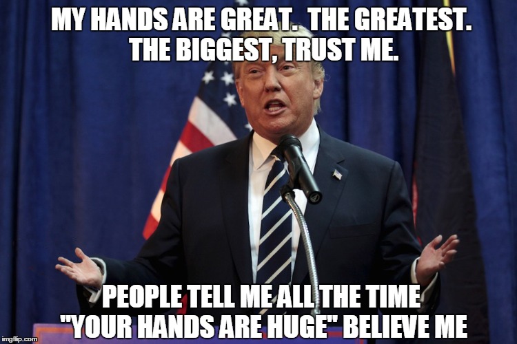 Believe him.  BELIEVE HIM NOW.  | MY HANDS ARE GREAT.  THE GREATEST. THE BIGGEST, TRUST ME. PEOPLE TELL ME ALL THE TIME "YOUR HANDS ARE HUGE" BELIEVE ME | image tagged in donald trump,hands | made w/ Imgflip meme maker