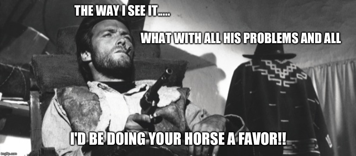 Western Horse Trainer | THE WAY I SEE IT.....










































                                                                                                                                         WHAT WITH ALL HIS PROBLEMS AND ALL; I'D BE DOING YOUR HORSE A FAVOR!! | image tagged in horses,horse training,horse forums | made w/ Imgflip meme maker
