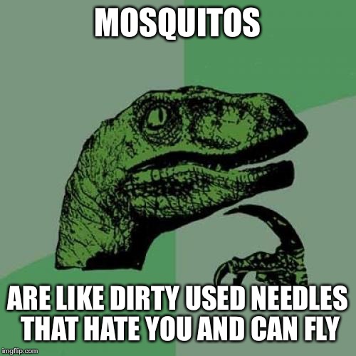 Philosoraptor Meme | MOSQUITOS; ARE LIKE DIRTY USED NEEDLES THAT HATE YOU AND CAN FLY | image tagged in memes,philosoraptor | made w/ Imgflip meme maker