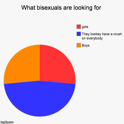 Bisexual | image tagged in funny,pie charts,bisexual | made w/ Imgflip chart maker