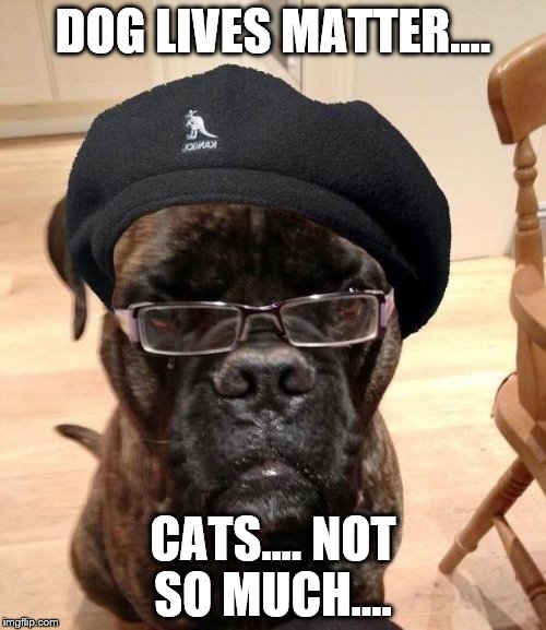 Samuel L Dogson | DOG LIVES MATTER.... CATS.... NOT SO MUCH.... | image tagged in samuel l dogson | made w/ Imgflip meme maker