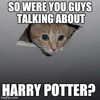 Ceiling Cat | SO WERE YOU GUYS TALKING ABOUT; HARRY POTTER? | image tagged in memes,ceiling cat | made w/ Imgflip meme maker