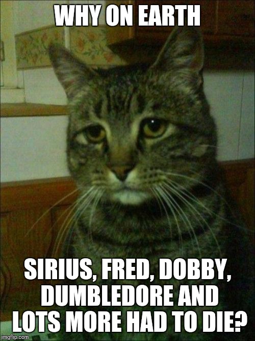Depressed Cat Meme | WHY ON EARTH; SIRIUS, FRED, DOBBY, DUMBLEDORE AND LOTS MORE HAD TO DIE? | image tagged in memes,depressed cat | made w/ Imgflip meme maker