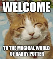 Happy cat | WELCOME; TO THE MAGICAL WORLD OF HARRY POTTER | image tagged in happy cat | made w/ Imgflip meme maker