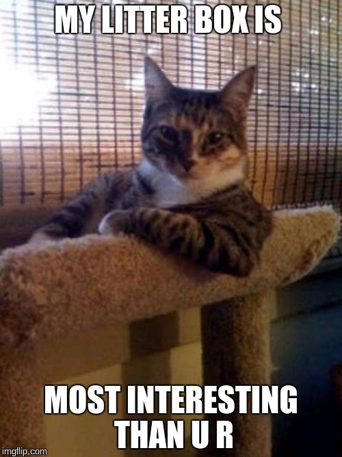 The Most Interesting Cat In The World | MY LITTER BOX IS; MOST INTERESTING THAN U R | image tagged in memes,the most interesting cat in the world | made w/ Imgflip meme maker