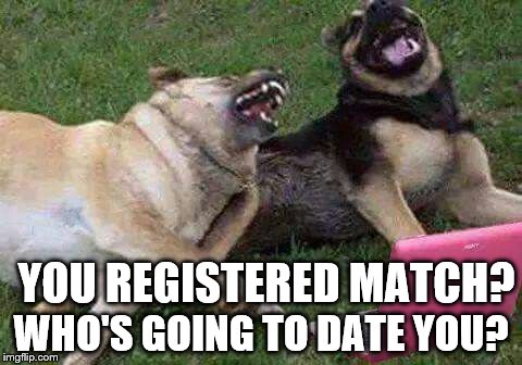 Dogs laughting | YOU REGISTERED MATCH? WHO'S GOING TO DATE YOU? | image tagged in dogs laughting | made w/ Imgflip meme maker