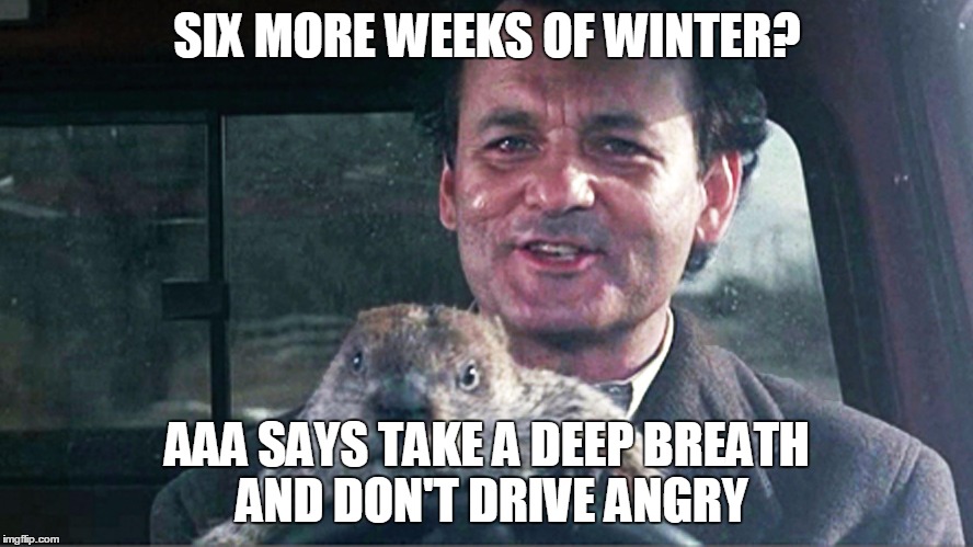 SIX MORE WEEKS OF WINTER? AAA SAYS TAKE A DEEP BREATH AND DON'T DRIVE ANGRY | image tagged in groundhog | made w/ Imgflip meme maker