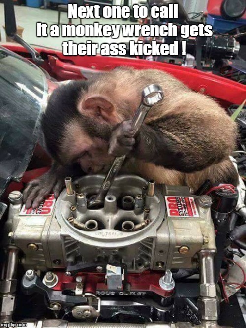 If I could only teach him to read.... | Next one to call it a monkey wrench gets their ass kicked ! | image tagged in memes,monkey business | made w/ Imgflip meme maker