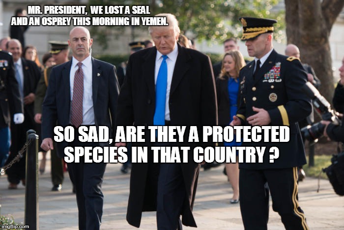 MR. PRESIDENT,  WE LOST A SEAL AND AN OSPREY THIS MORNING IN YEMEN. SO SAD, ARE THEY A PROTECTED SPECIES IN THAT COUNTRY ? | image tagged in commander in chief | made w/ Imgflip meme maker