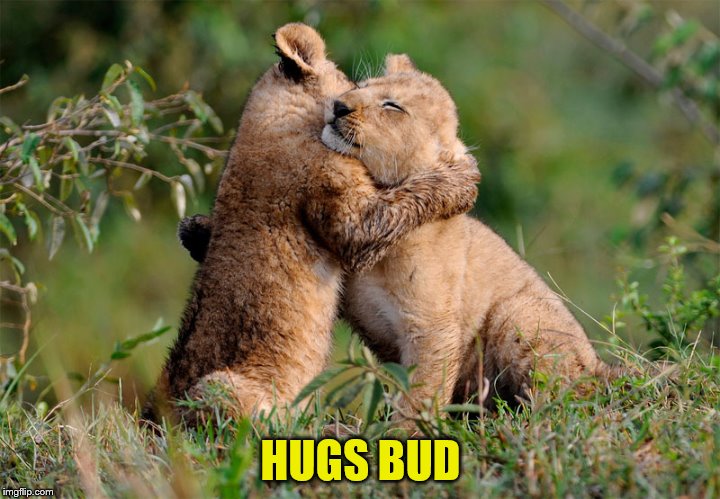 HUGS BUD | made w/ Imgflip meme maker