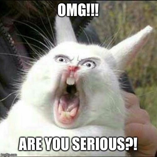 OMG are you serious | OMG!!! ARE YOU SERIOUS?! | image tagged in bunny | made w/ Imgflip meme maker