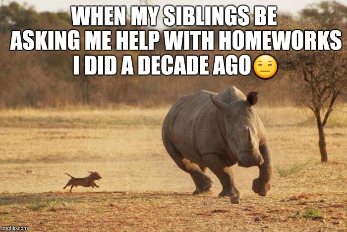 animals | WHEN MY SIBLINGS BE ASKING ME HELP WITH HOMEWORKS I DID A DECADE AGO😑 | image tagged in animals | made w/ Imgflip meme maker