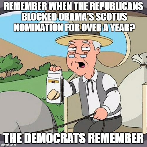 Pepperidge Farm Remembers Meme | REMEMBER WHEN THE REPUBLICANS BLOCKED OBAMA'S SCOTUS NOMINATION FOR OVER A YEAR? THE DEMOCRATS REMEMBER | image tagged in memes,pepperidge farm remembers | made w/ Imgflip meme maker
