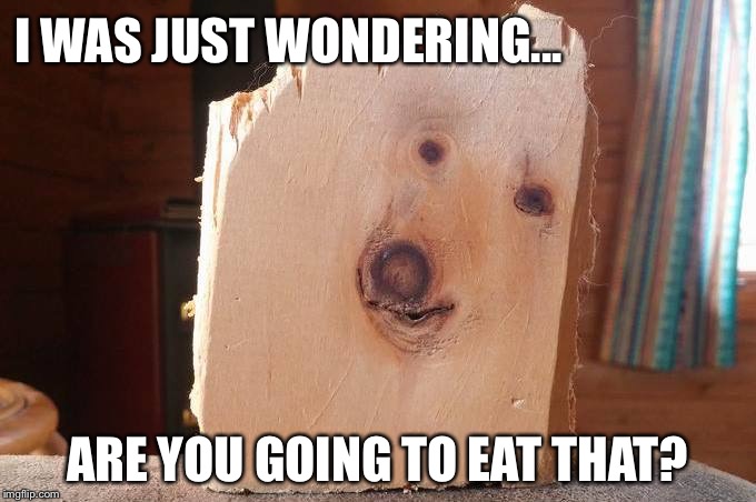 My dog is a beggar and has the same look on her face at dinner time  | I WAS JUST WONDERING... ARE YOU GOING TO EAT THAT? | image tagged in dog wood,beggar | made w/ Imgflip meme maker