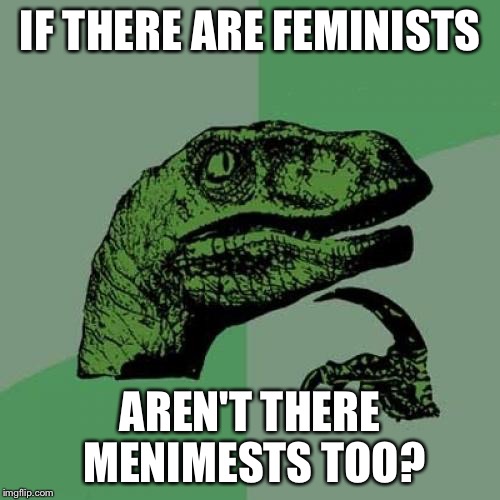 Opposing forces am I right? | IF THERE ARE FEMINISTS; AREN'T THERE MENIMESTS TOO? | image tagged in memes,philosoraptor | made w/ Imgflip meme maker