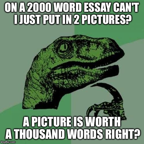 Well I'm not wrong... | ON A 2000 WORD ESSAY CAN'T I JUST PUT IN 2 PICTURES? A PICTURE IS WORTH A THOUSAND WORDS RIGHT? | image tagged in memes,philosoraptor | made w/ Imgflip meme maker