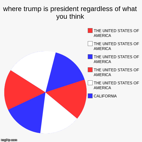 hello liberals | image tagged in funny,pie charts,memes,trump,liberals | made w/ Imgflip chart maker