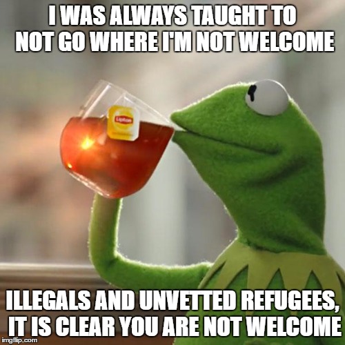 But That's None Of My Business | I WAS ALWAYS TAUGHT TO NOT GO WHERE I'M NOT WELCOME; ILLEGALS AND UNVETTED REFUGEES, IT IS CLEAR YOU ARE NOT WELCOME | image tagged in memes,but thats none of my business,kermit the frog | made w/ Imgflip meme maker