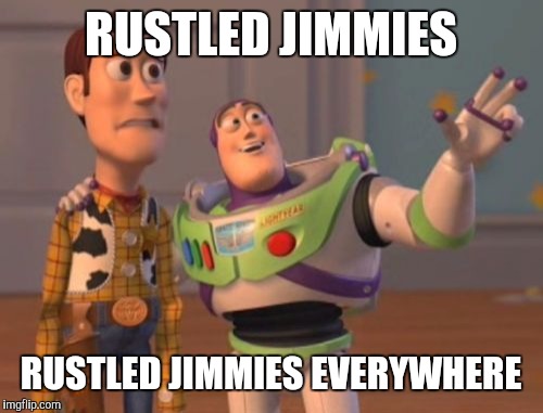 X, X Everywhere Meme | RUSTLED JIMMIES; RUSTLED JIMMIES EVERYWHERE | image tagged in memes,x x everywhere | made w/ Imgflip meme maker