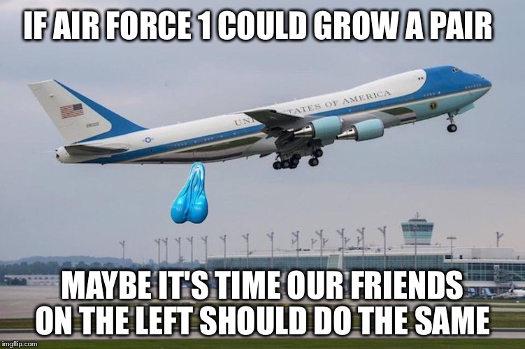 Things are getting hairy out there! | IF AIR FORCE 1 COULD GROW A PAIR; MAYBE IT'S TIME OUR FRIENDS ON THE LEFT SHOULD DO THE SAME | image tagged in air force 1 | made w/ Imgflip meme maker