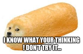 twinkie doge | I KNOW WHAT YOUR THINKING !
DON'T TRY IT... | image tagged in twinkie doge | made w/ Imgflip meme maker