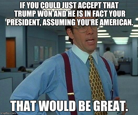 That Would Be Great Meme | IF YOU COULD JUST ACCEPT THAT TRUMP WON AND HE IS IN FACT YOUR PRESIDENT, ASSUMING YOU'RE AMERICAN. THAT WOULD BE GREAT. | image tagged in memes,that would be great | made w/ Imgflip meme maker