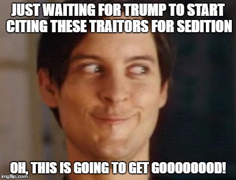 You can't buy better entertainment then this! | JUST WAITING FOR TRUMP TO START CITING THESE TRAITORS FOR SEDITION; OH, THIS IS GOING TO GET GOOOOOOOD! | image tagged in memes,spiderman peter parker | made w/ Imgflip meme maker