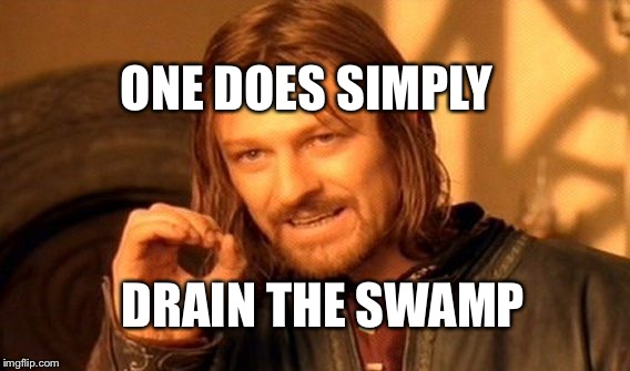 One Does Not Simply Meme | DRAIN THE SWAMP ONE DOES SIMPLY | image tagged in memes,one does not simply | made w/ Imgflip meme maker