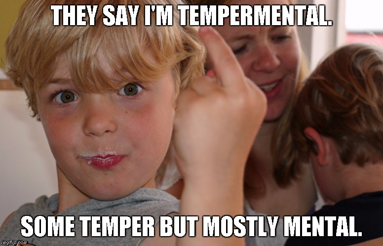 Temperamental | THEY SAY I'M TEMPERMENTAL. SOME TEMPER BUT MOSTLY MENTAL. | image tagged in temper,mental | made w/ Imgflip meme maker